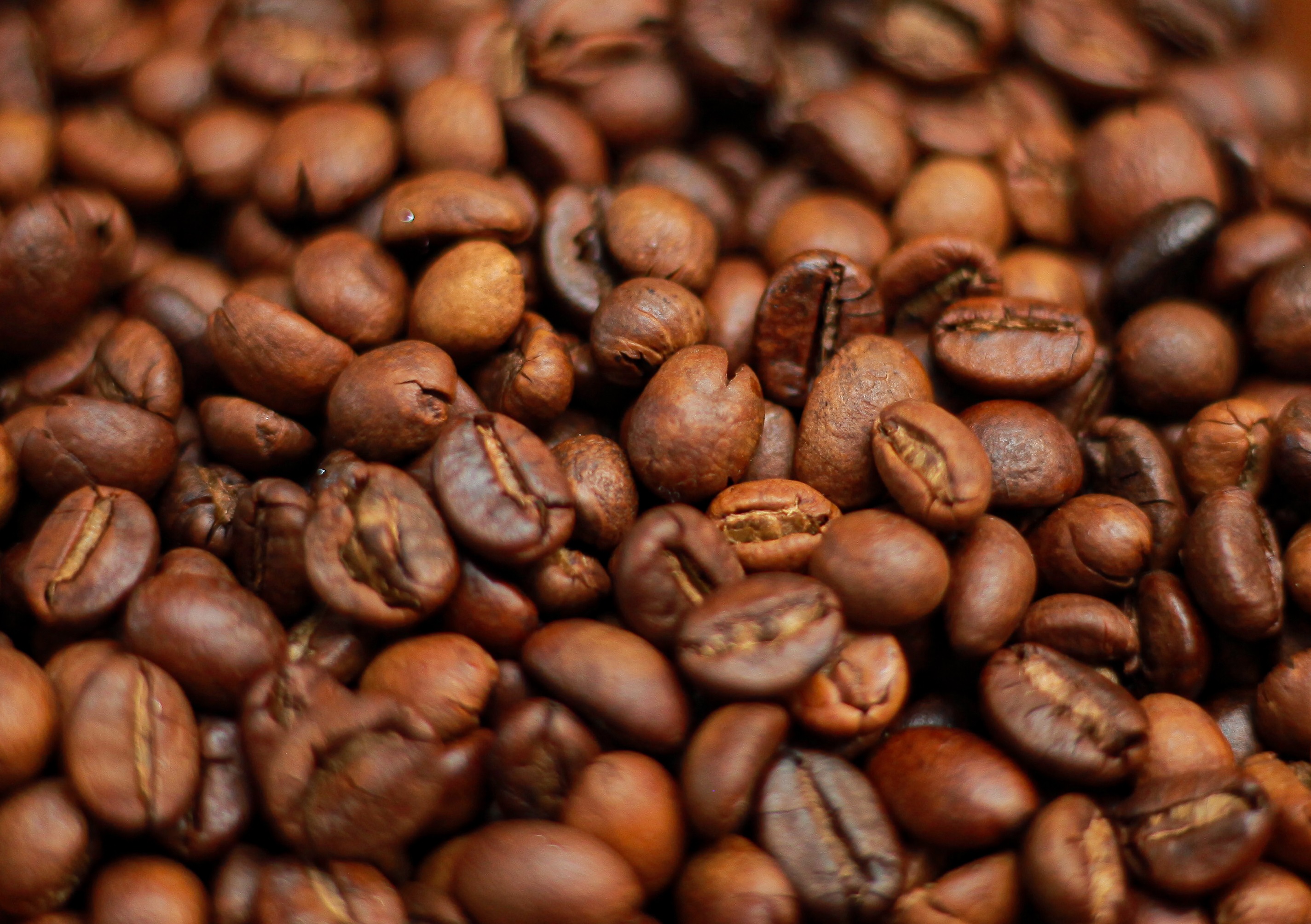 PELUANG BISNIS YANG MENGUNTUNGKAN BUAT ANDA BERSAMA KOPI KAHYANGAN KITA BISA