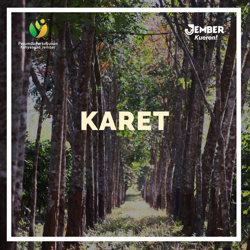 Karet