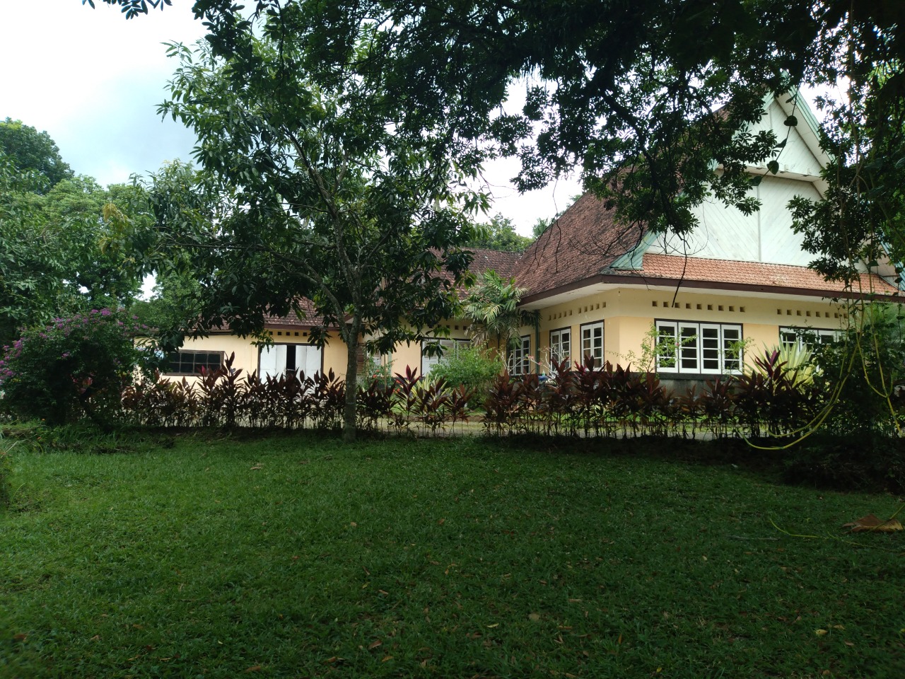 PENGUMUMAN