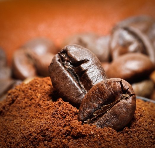 6 Fakta Kopi Robusta, Kopi Favorit semua orang