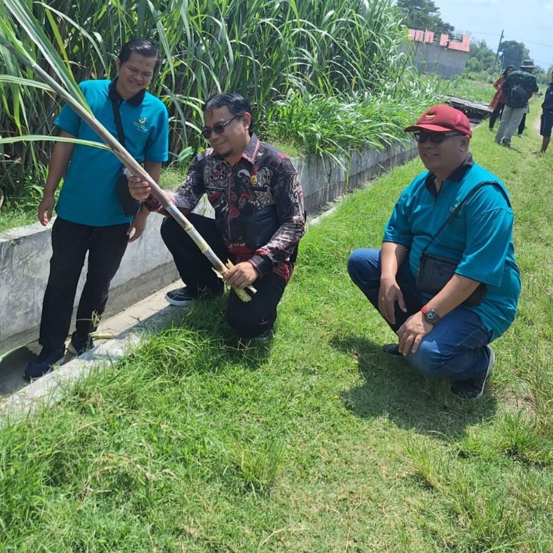 PENGUMUMAN PEMENANG LELANG PENGADAAN BIBIT TEBU