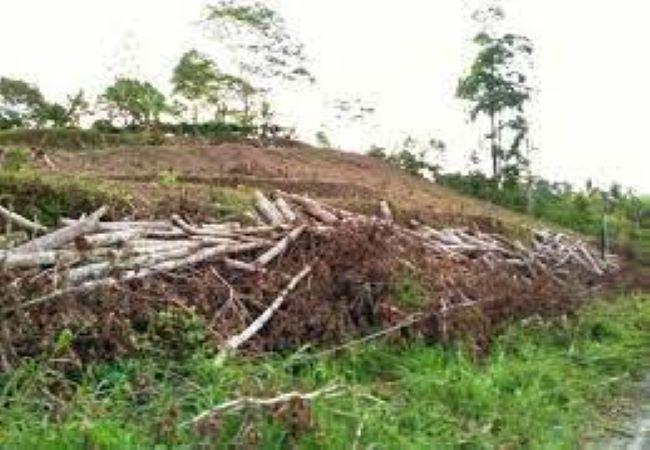 PENGUMUMAN ULANG PEMILIHAN MITRA PEMANFAATAN LAHAN BLOK KT I C