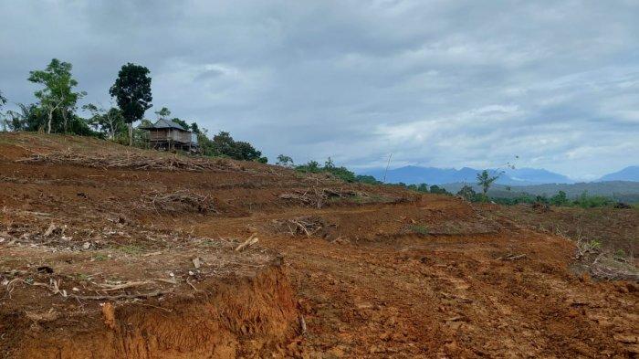 PENGUMUMAN TENDER ULANG PEMANFAATAN LAHAN BLOK PKL 11-15
